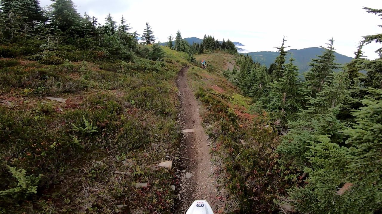 Alpine Single Track