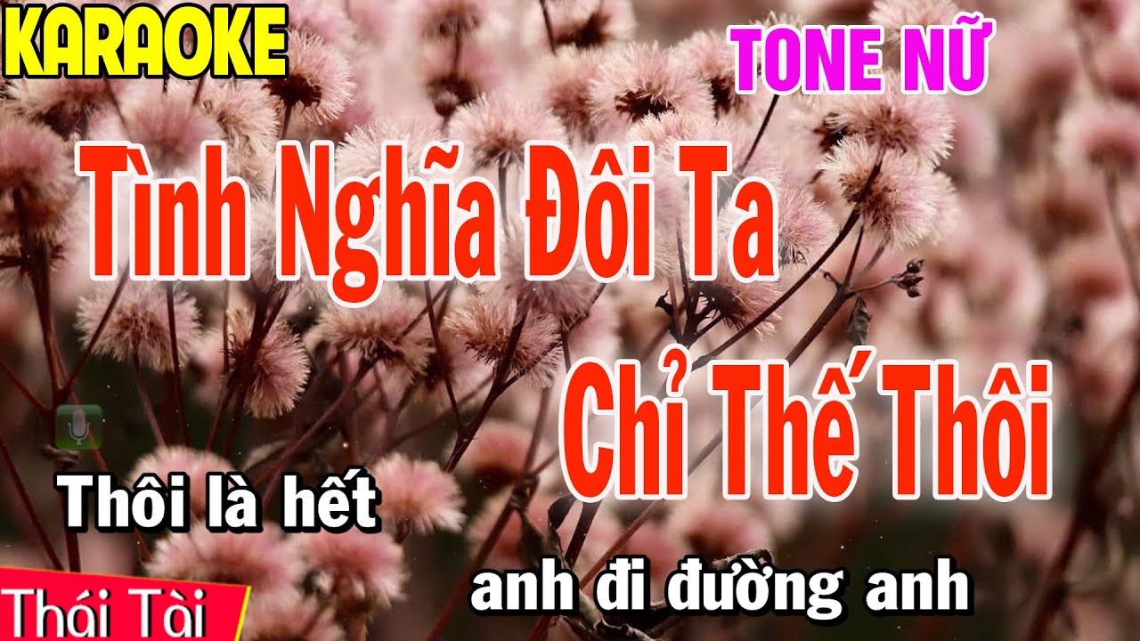 Tình Nghĩa Đôi Ta Chỉ Thế Thôi Karaoke Tone Nữ | Thái Tài