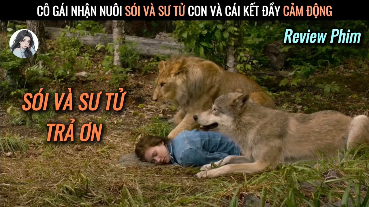[Review Phim] Cô Gái Nhận Nuôi Sói Và Sư Tử Con Và Cái Kết Đầy Cảm Động