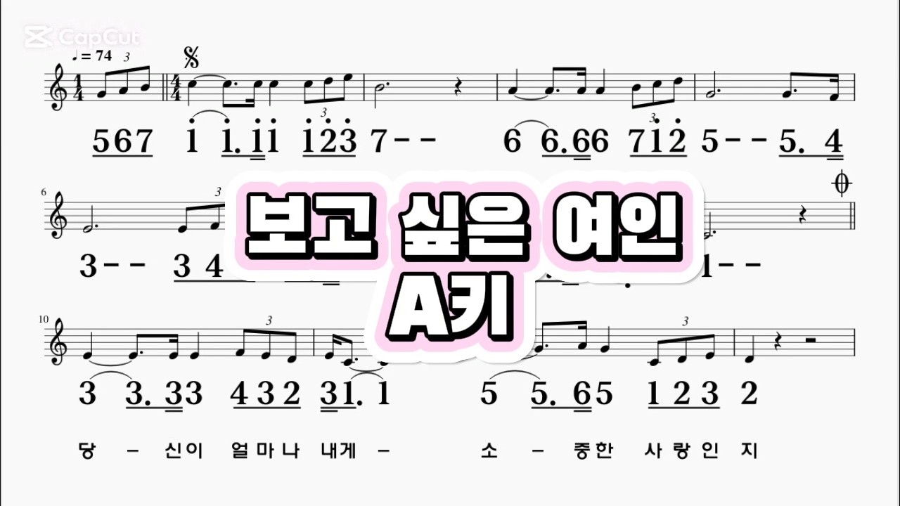 보고싶은여인 현철 A키 하모니카 악보 영상