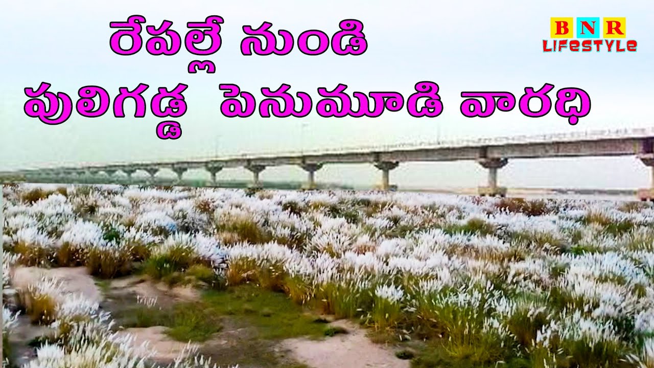 Penumudi Puligadda Bridge | Diviseema Varadhi | BNR Lifestyle