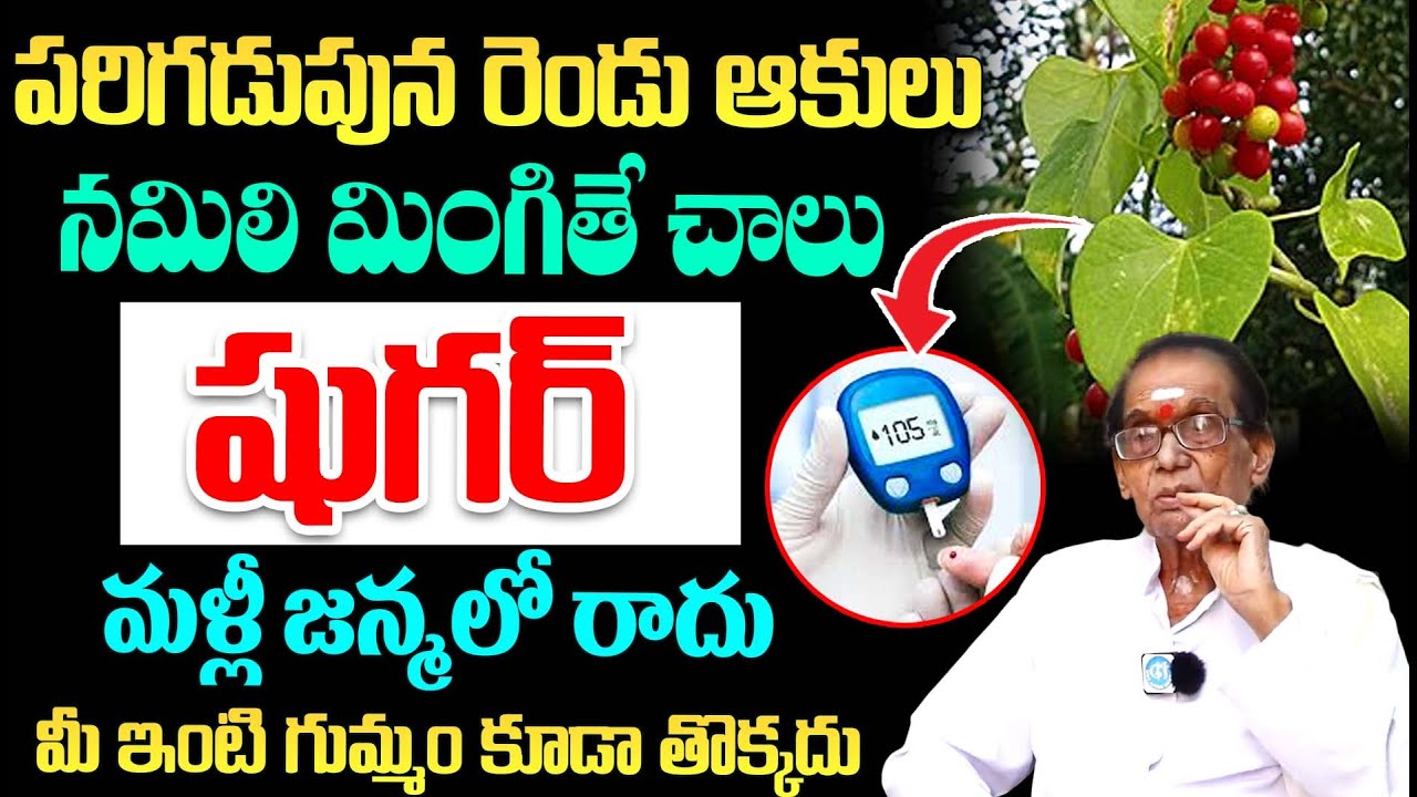 పరిగడుపున రెండు ఆకులు చాలు షుగర్ జన్మలో రాదు | Reduce Diabetes Thippa thiiga | Dr BA Venkata Swamy