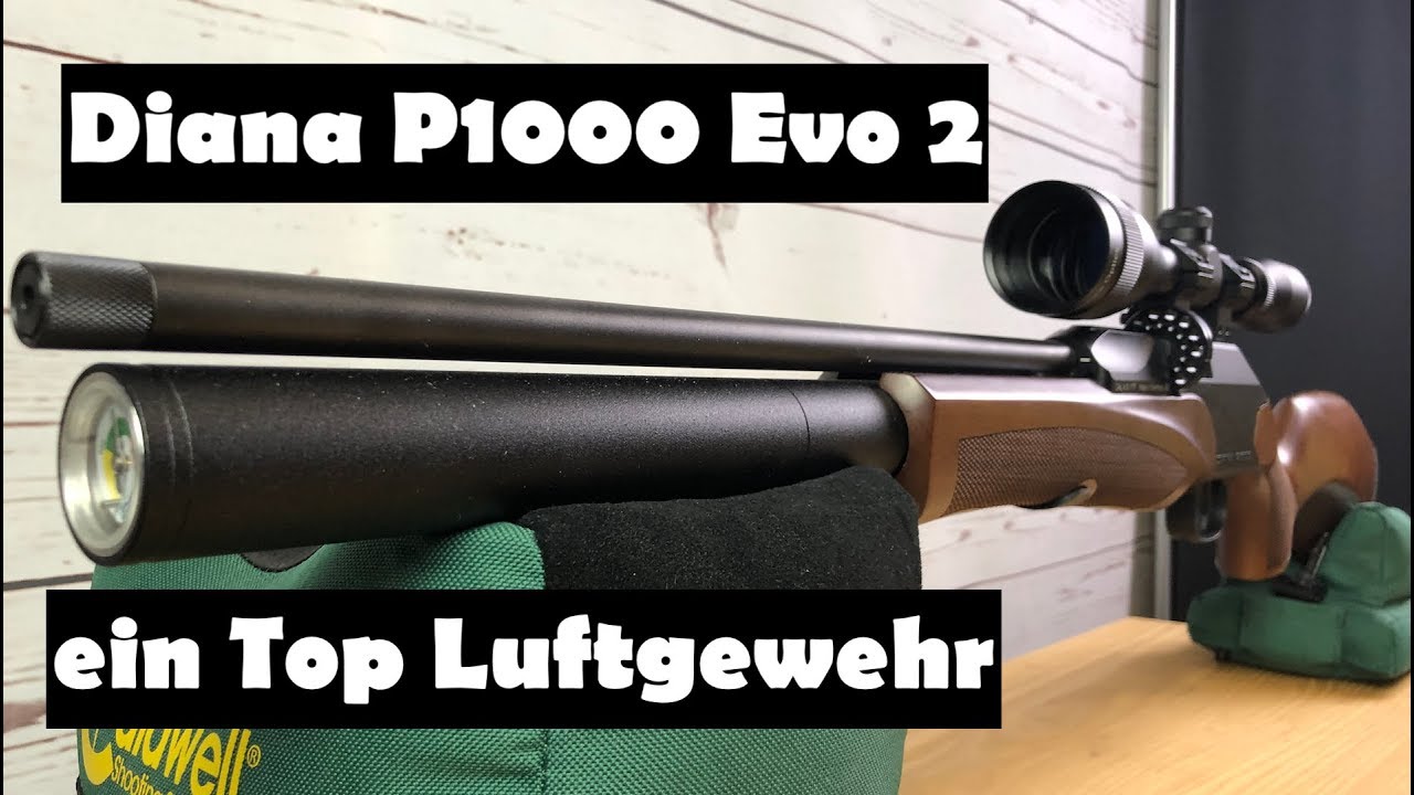 Luftgewehr Diana P1000 Evo2 - Full Review und Schusstest