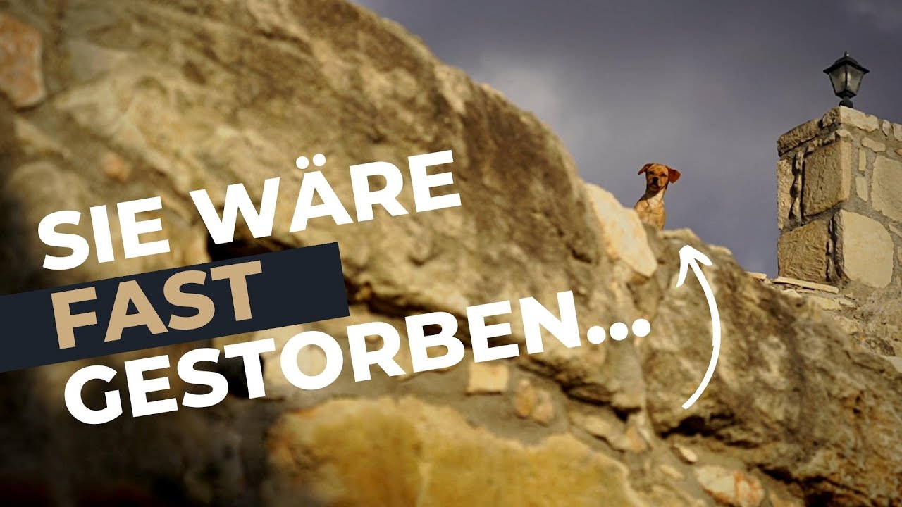 Priorit&auml;ten setzen! Was ist Dir wirklich wichtig?
