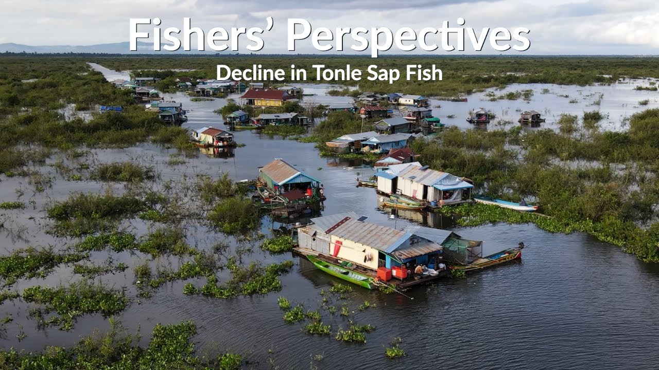 Fishers' Perspectives: Decline in Tonle Sap Fish
