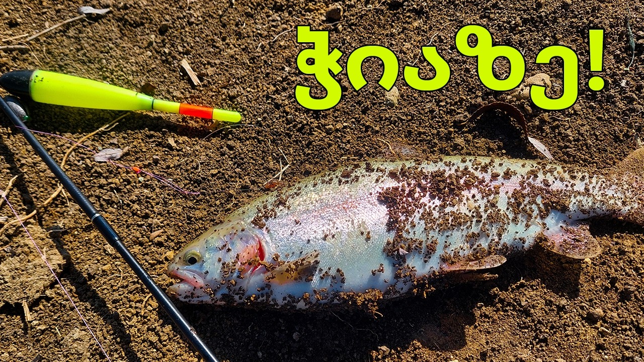 თევზაობა კალმახზე მარაბდის ტბაზე
