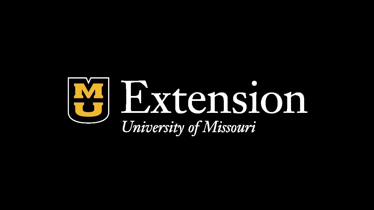 Dr. Jordan Thomas, University of Missouri--strategies for a successful beef cattle breeding season