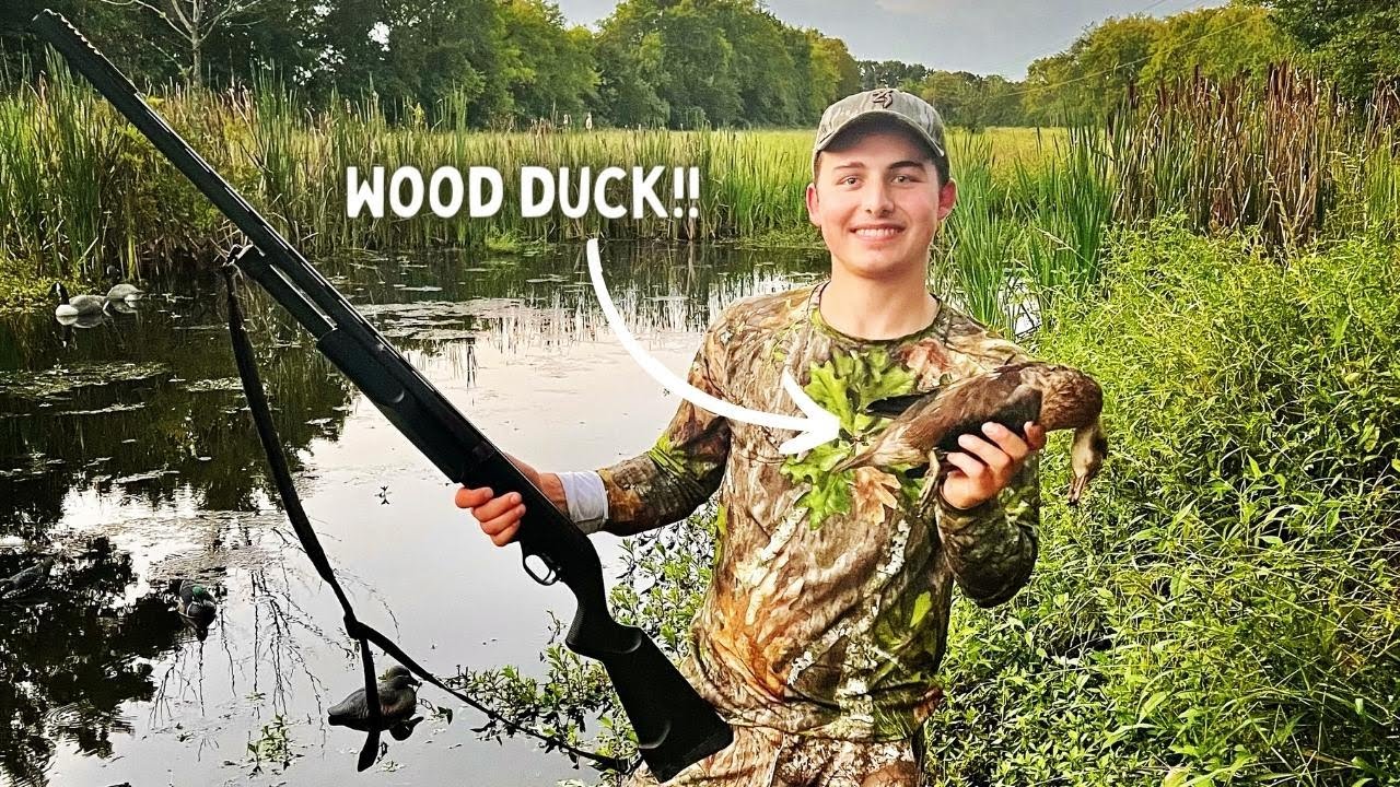 Hunting the EARLY WOOD DUCK and TEAL SEASON!! - Early Season Duck Hunting 2022