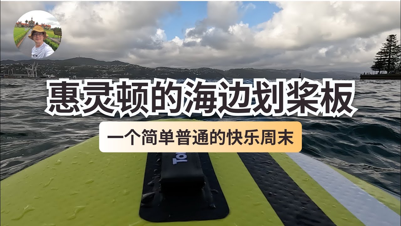 Paddle Boarding in Wellington | 惠灵顿的海边划桨板