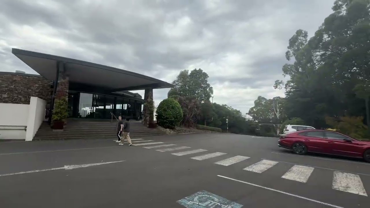 Mountain Dandenong 