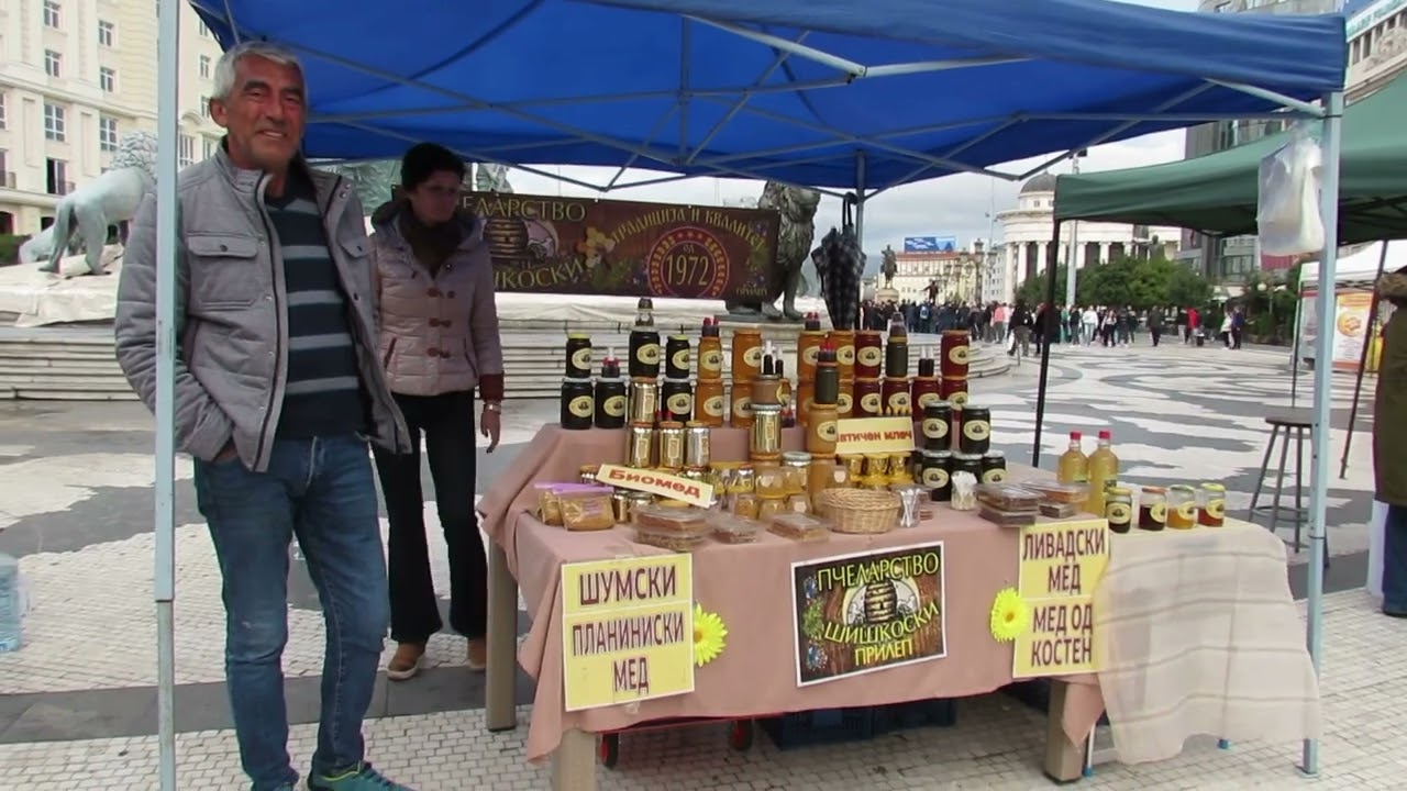B-Roll: Walking Tour in Centar Municipality on November 8, 2025