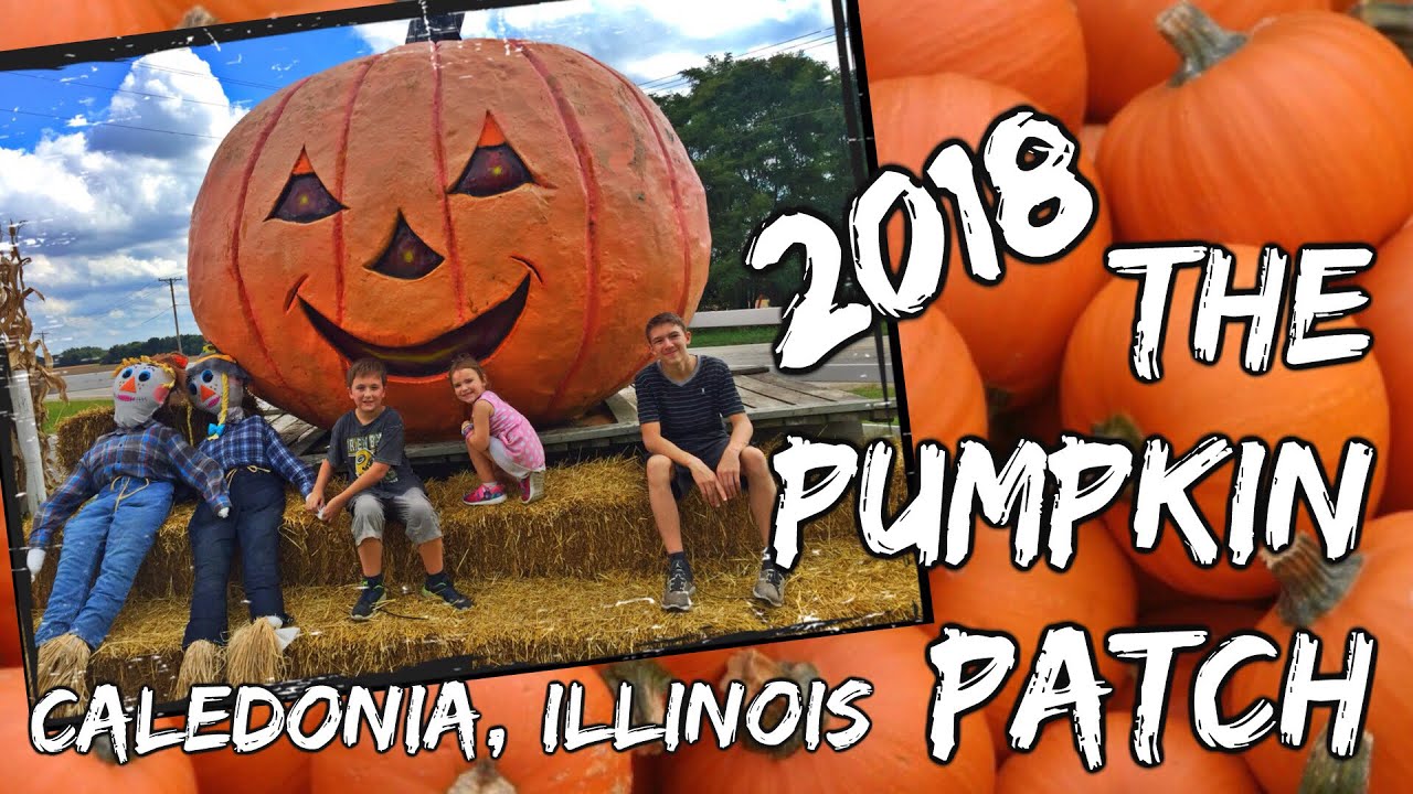 The Lindberg Pumpkin Patch Caledonia, IL