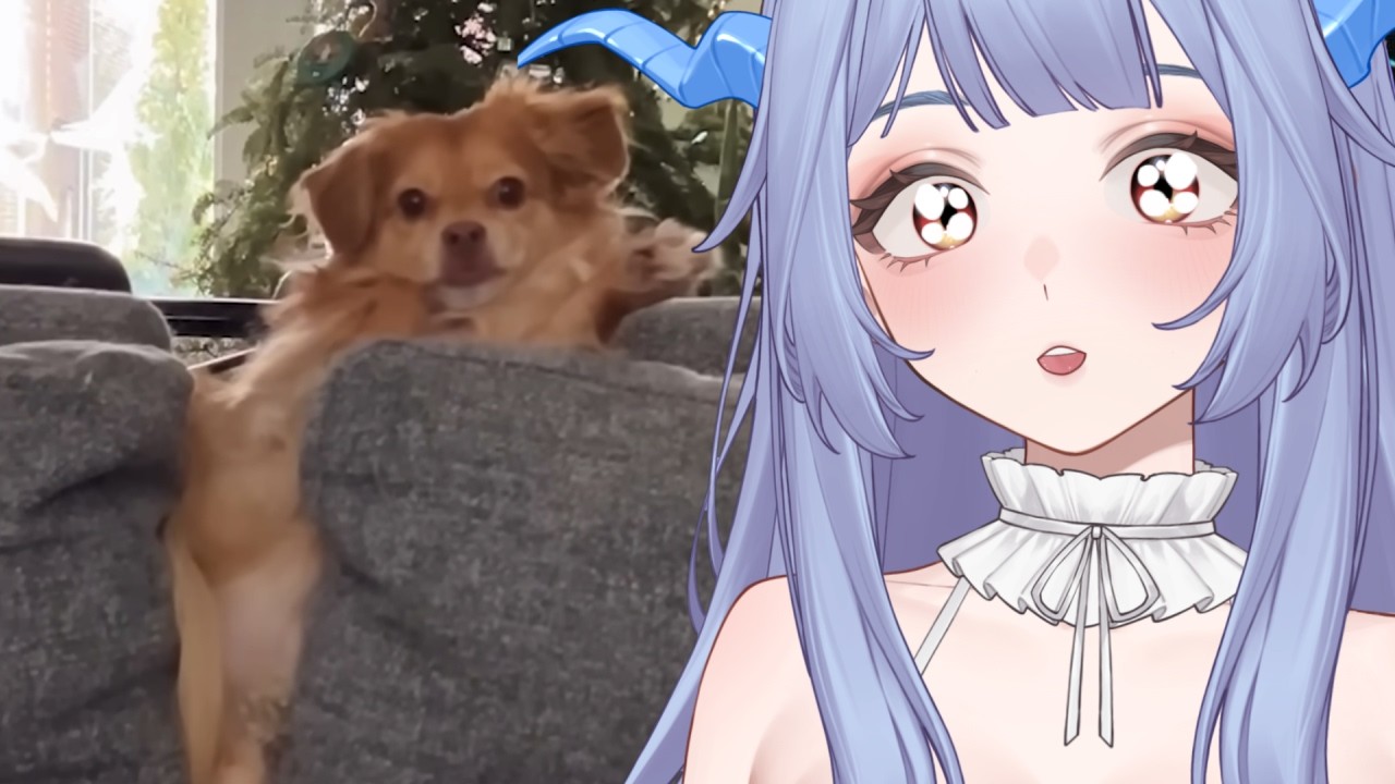 Guess His Favorite Word | Daily Dose of Pets React