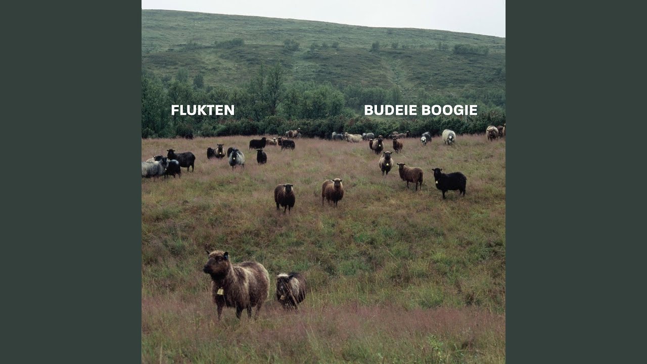 Budeie boogie