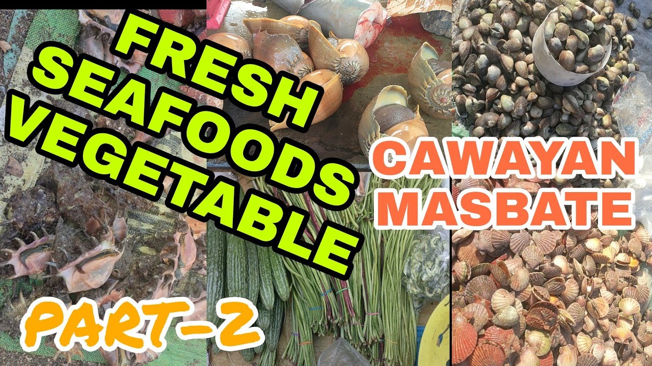 PART-2 | TIANGGE SA CAWAYAN MASBATE | NAGARAO ISLAND | VLOG#7