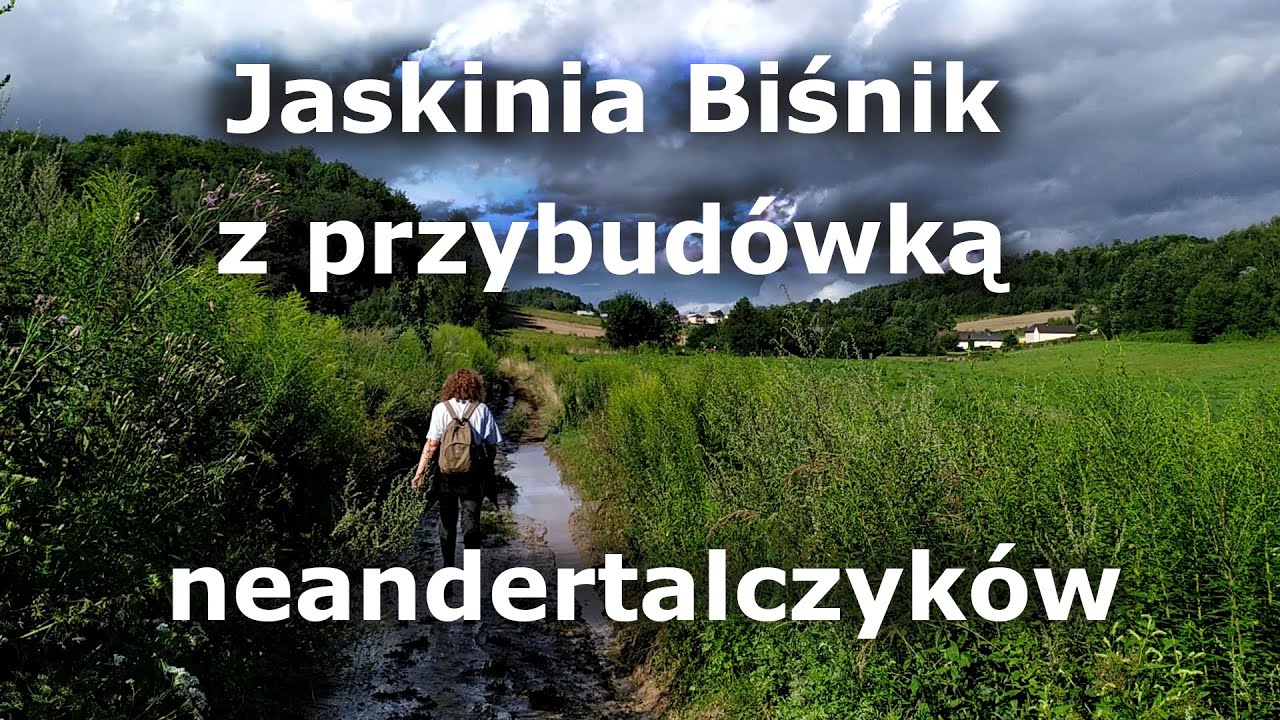 Konstrukcja neandertalczyków przed J. Biśnik - ganek i kurtyna powietrzna.