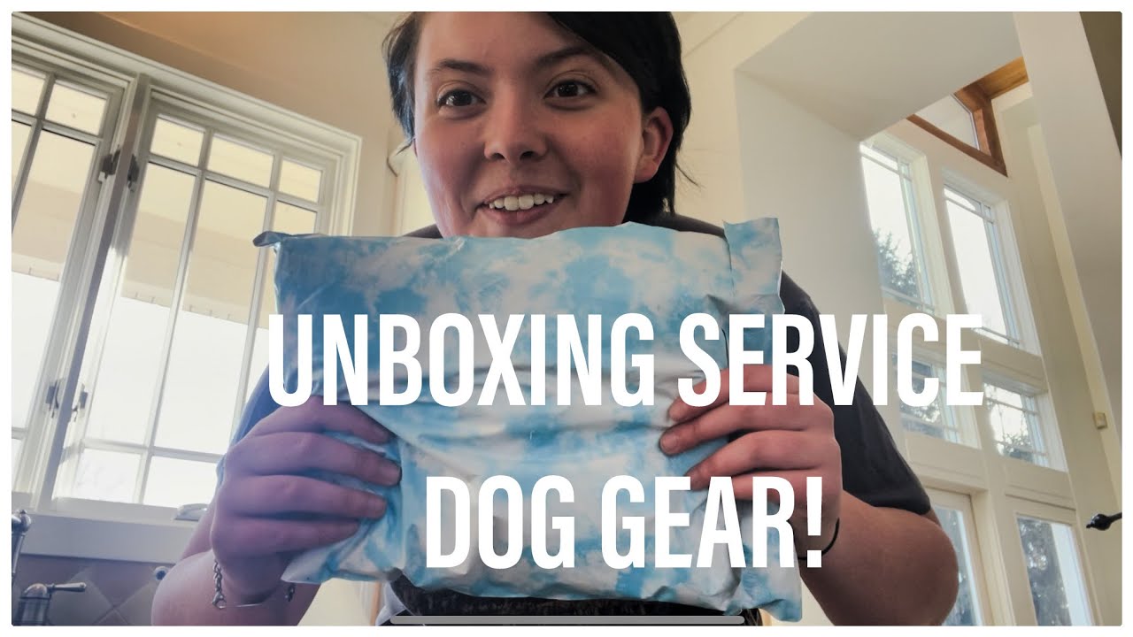 UNBOXING SERVICE DOG GEAR FROM  KRISTY CREATIONS (contact her in description to order)