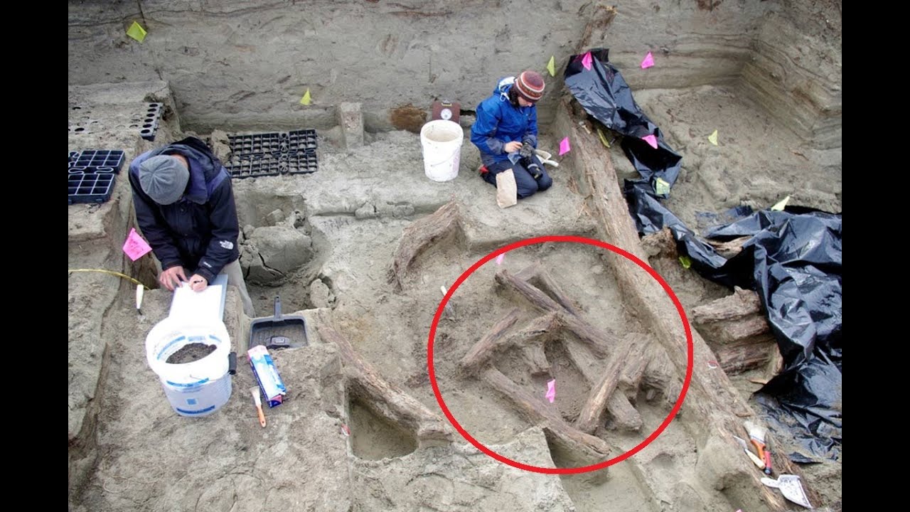 13 Bizarre Discoveries In Alaska
