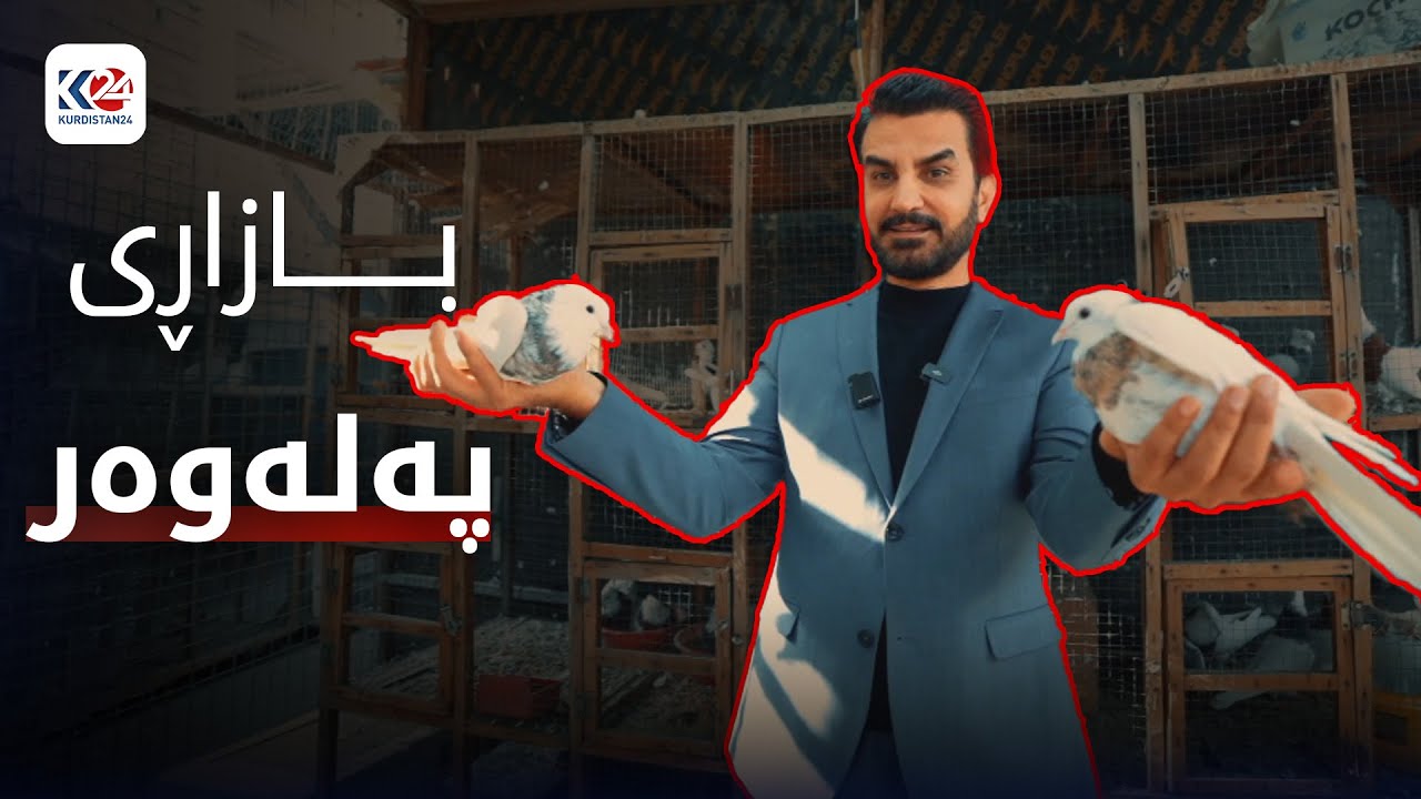 چ باسە | بازاڕی پەلەوەری هەولێر