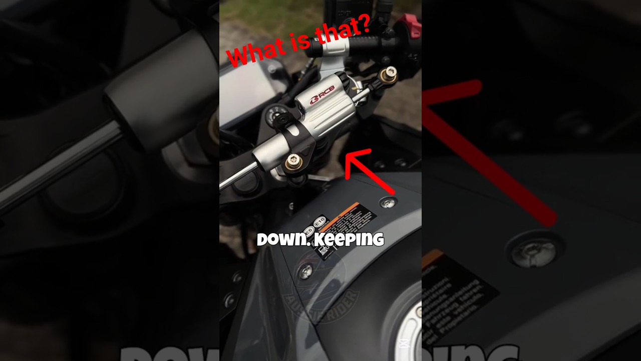 Why Do Motorcycles Have Steering Dampers? | Explained Simply #aussierider
