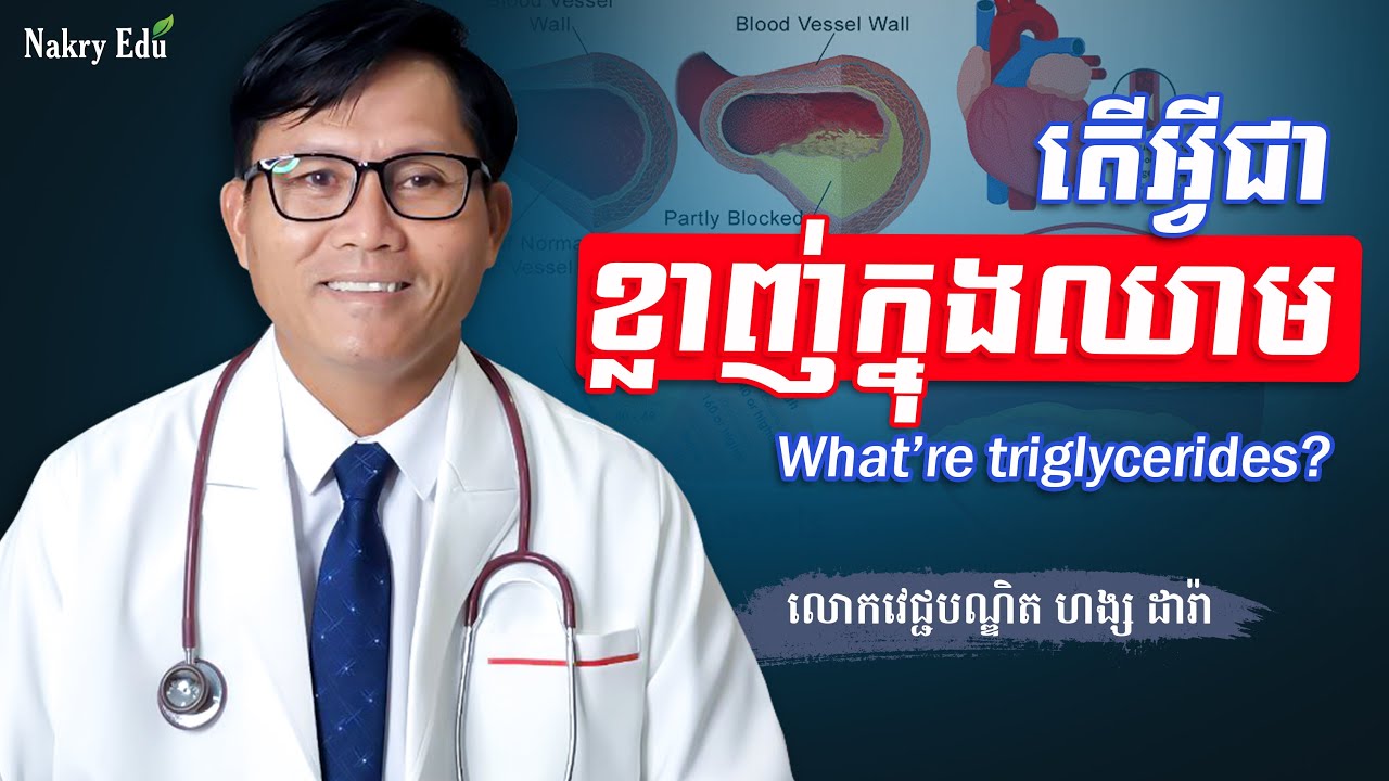 អ្វីជាខ្លាញ់ក្នុងឈាម? - ហង្ស ដារ៉ា - Nakry Edu