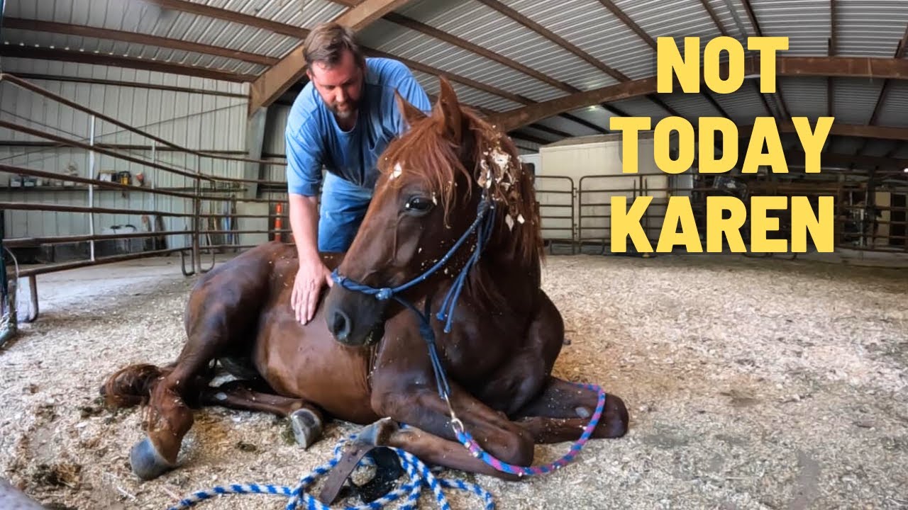 Karen Took It Too Far…Training An Aggressive Horse