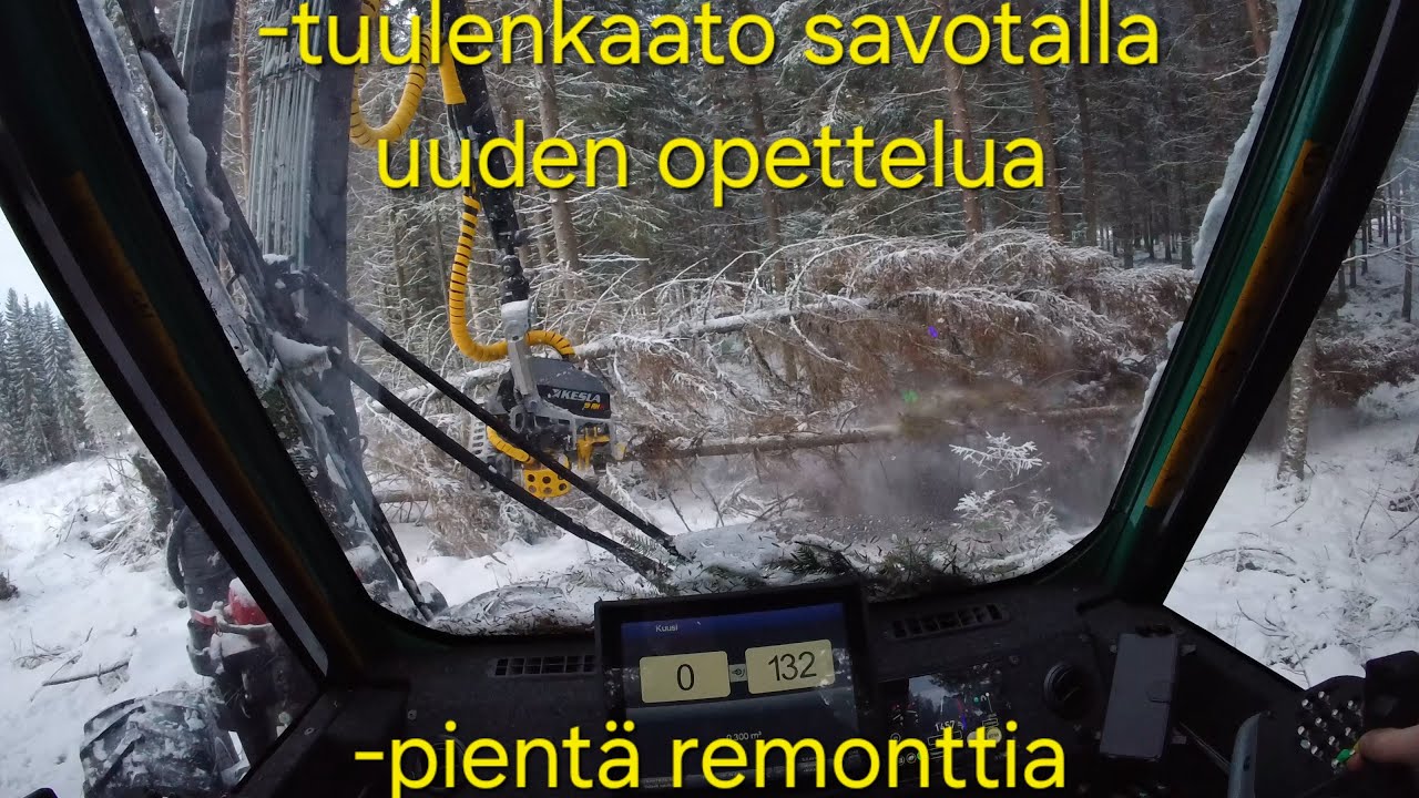 Prosilva S3 & Kesla 19 Ensimmäistä kertaa tuulenkaato savotalla