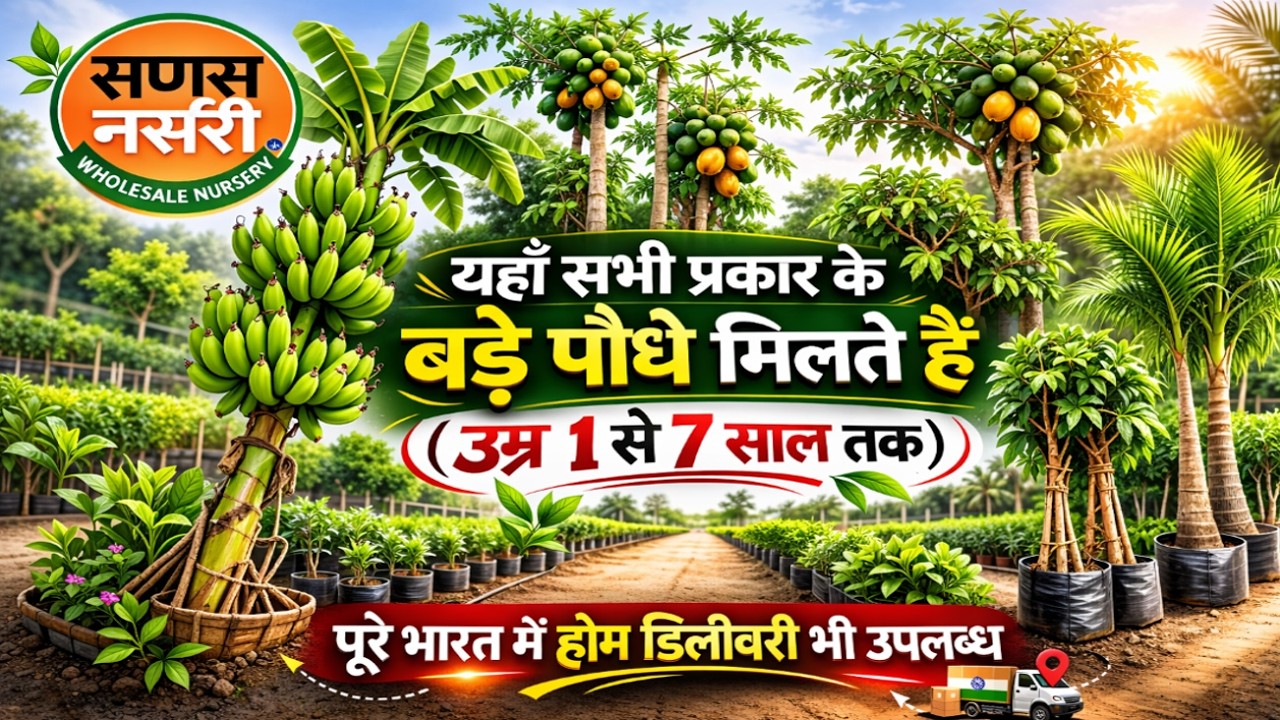 Sanas Nursery Pune Complete Tour