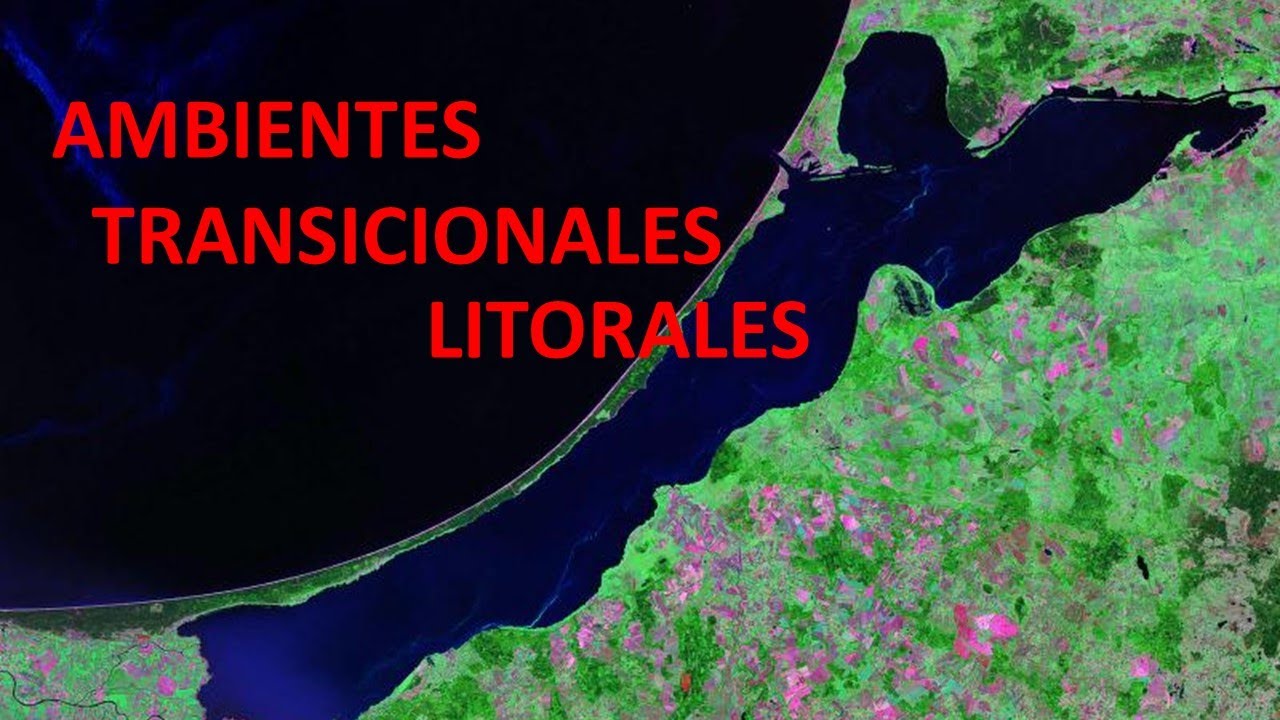 Ambientes transicionales Litorales y costeros