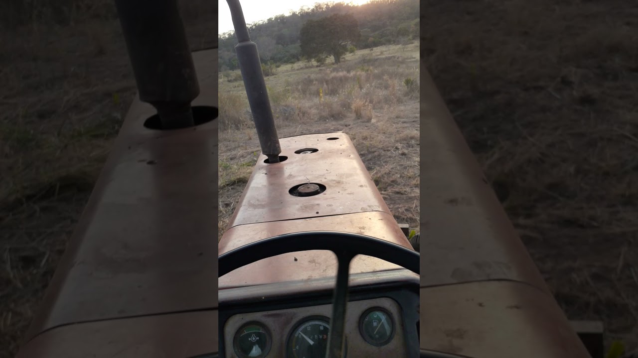Massey Ferguson 265 na rossadeira de arrasto. s&oacute; pra quem gosta