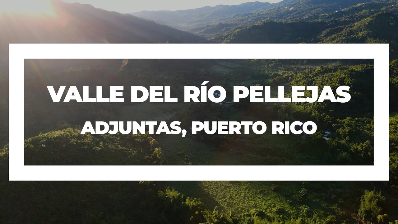 Área Natural Protegida Hacienda Pellejas, Adjuntas, Puerto Rico [4K]