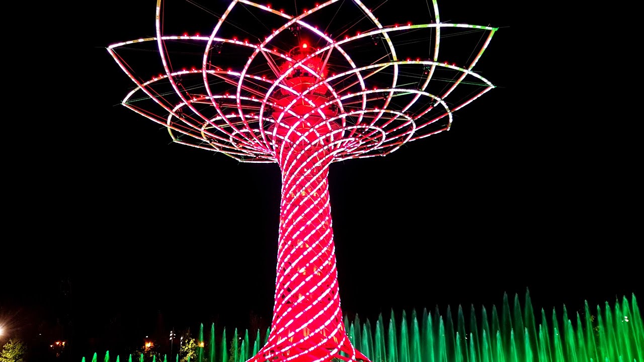 Albero della vita  2016. Spettacolo serale