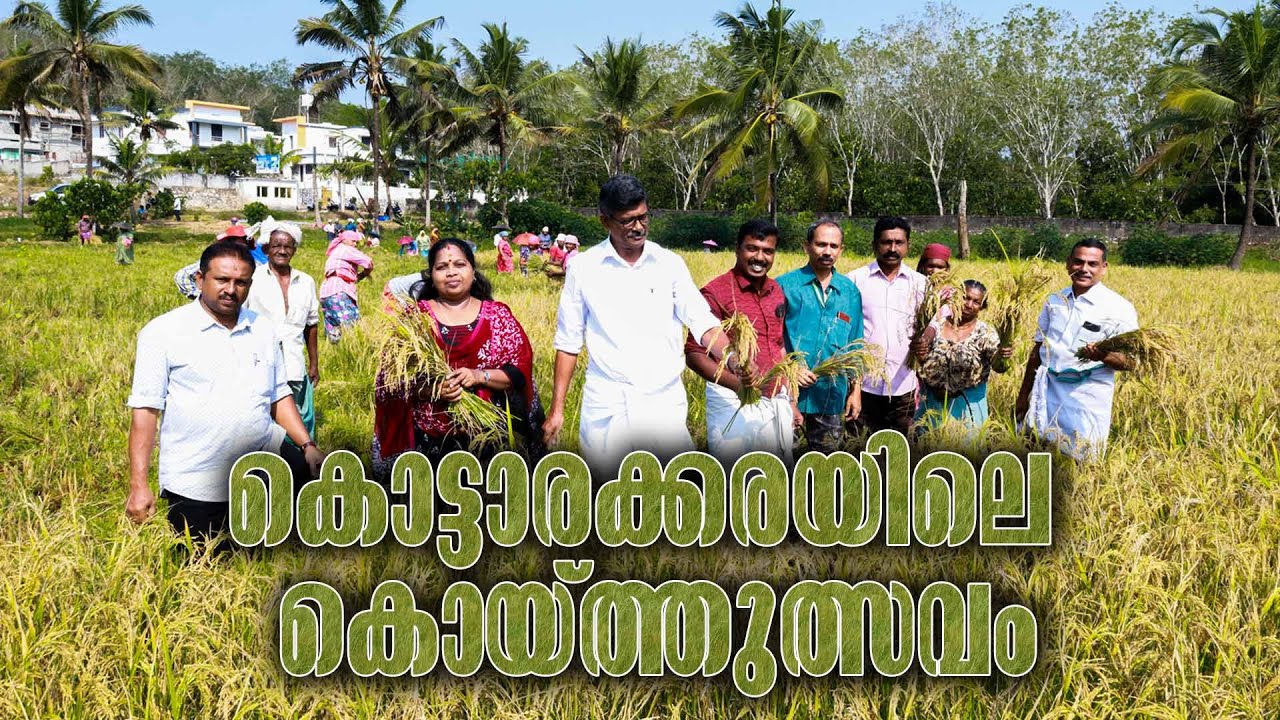 Kottarakkara News | Harvest Festival | കൊട്ടാരക്കരയിലെ കൊയ്ത്തുത്സവം |  Kottarakkara Varthakal