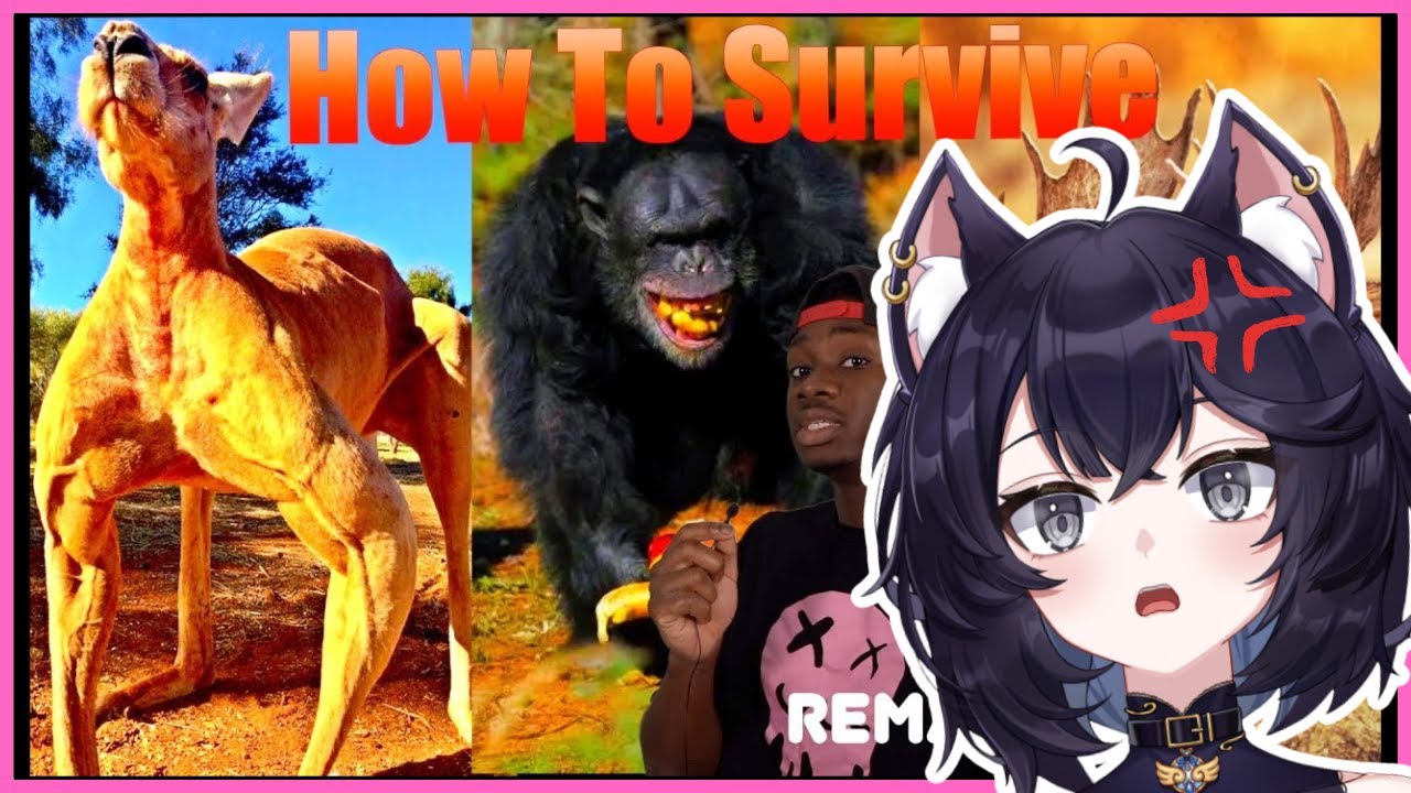 SURVIVAL GUIDE | How to Not Get Unsubscribed from Life by Animals | Saphwyn Reacts