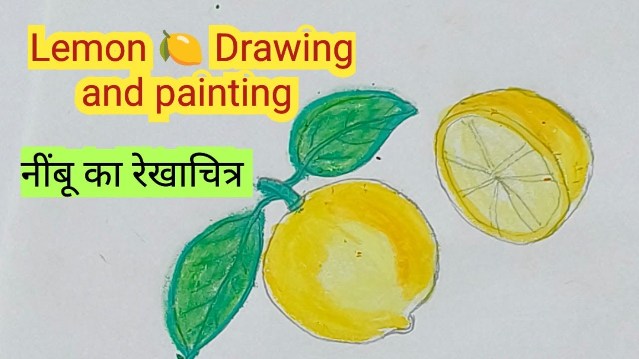  Lemon Drawing Easy /lemon drawing and colouring technique/neevu ka chitra/ नींबू का रेखाचित्र