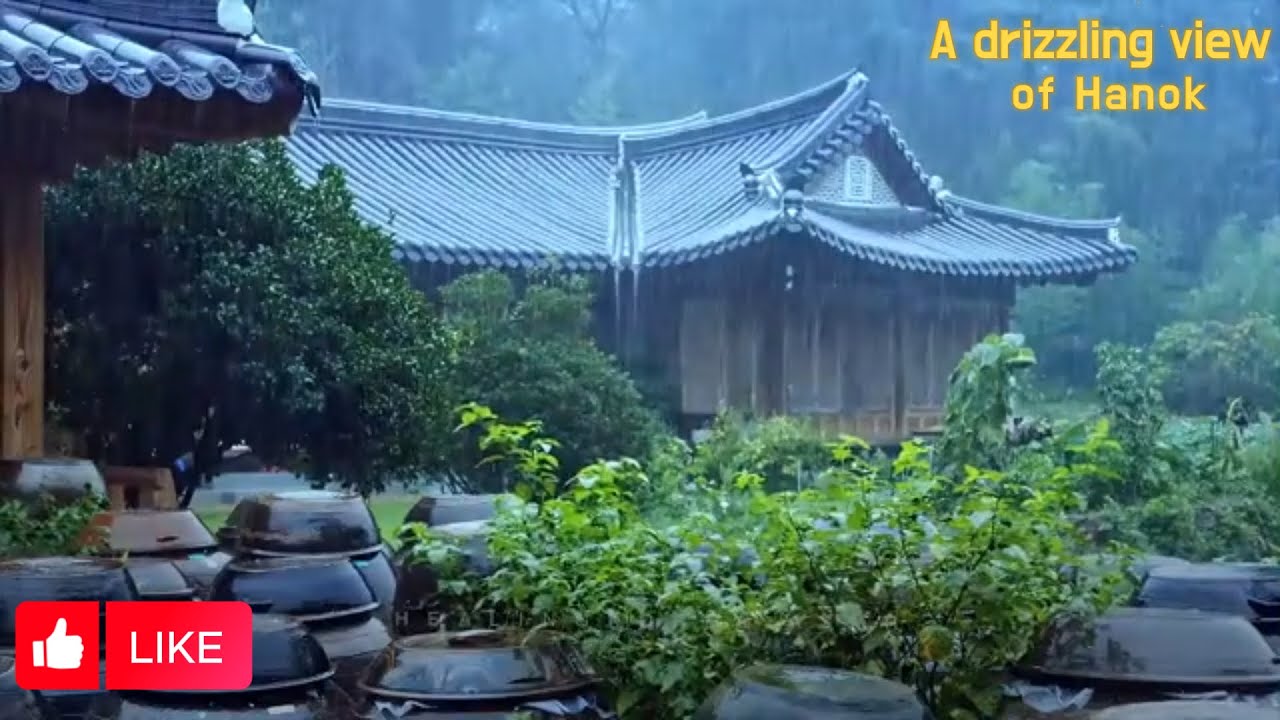 A rainy landscape비내리는 풍경