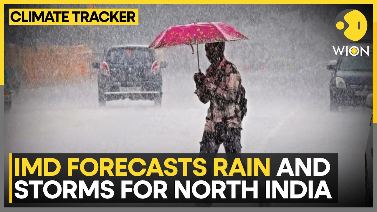 India Rains: Monsoon Relief Coming to North India Heatwave Zones | WION Climate Tracker