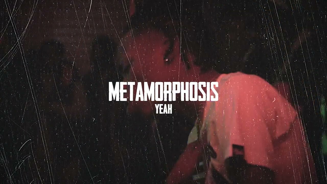 ARMANII - YEAH (Official Visualizer)