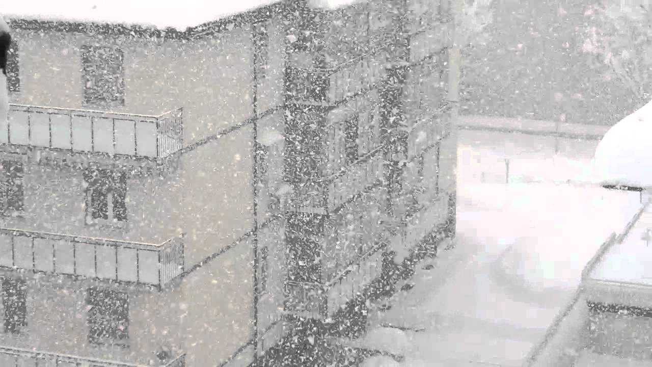 Bufera di Neve a Cesena, ore 11:30, 04/02/2012
