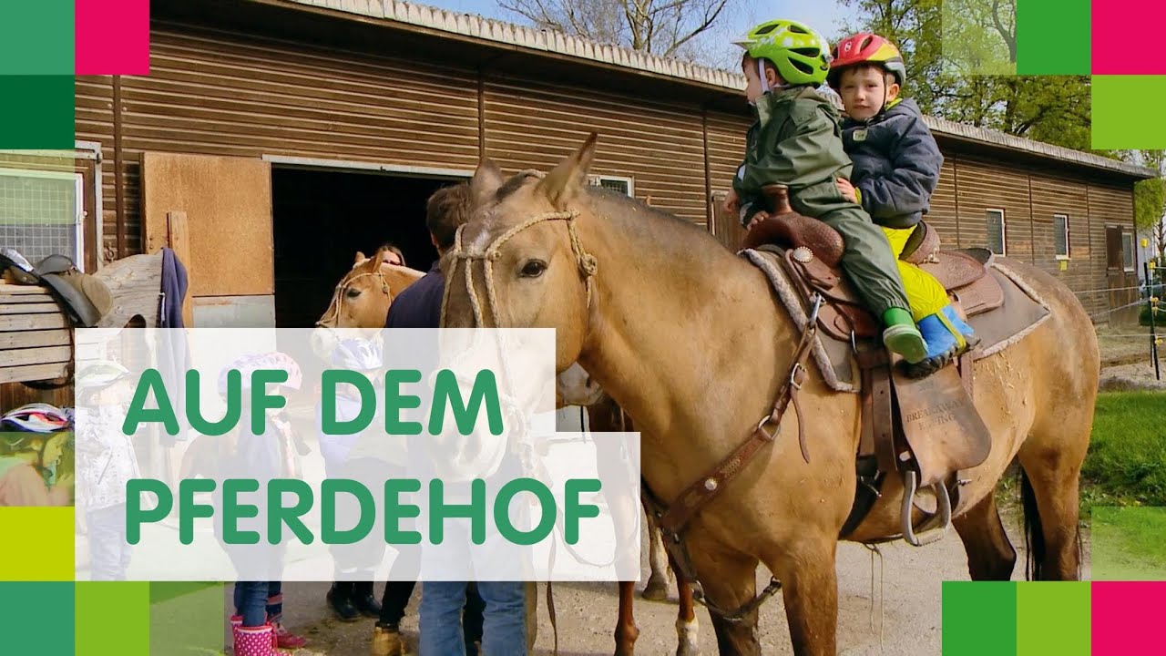 Zu Besuch bei den Pferden: Das Pferdeprojekt im FRÖBEL-Haus für Kinder Schimmelweg