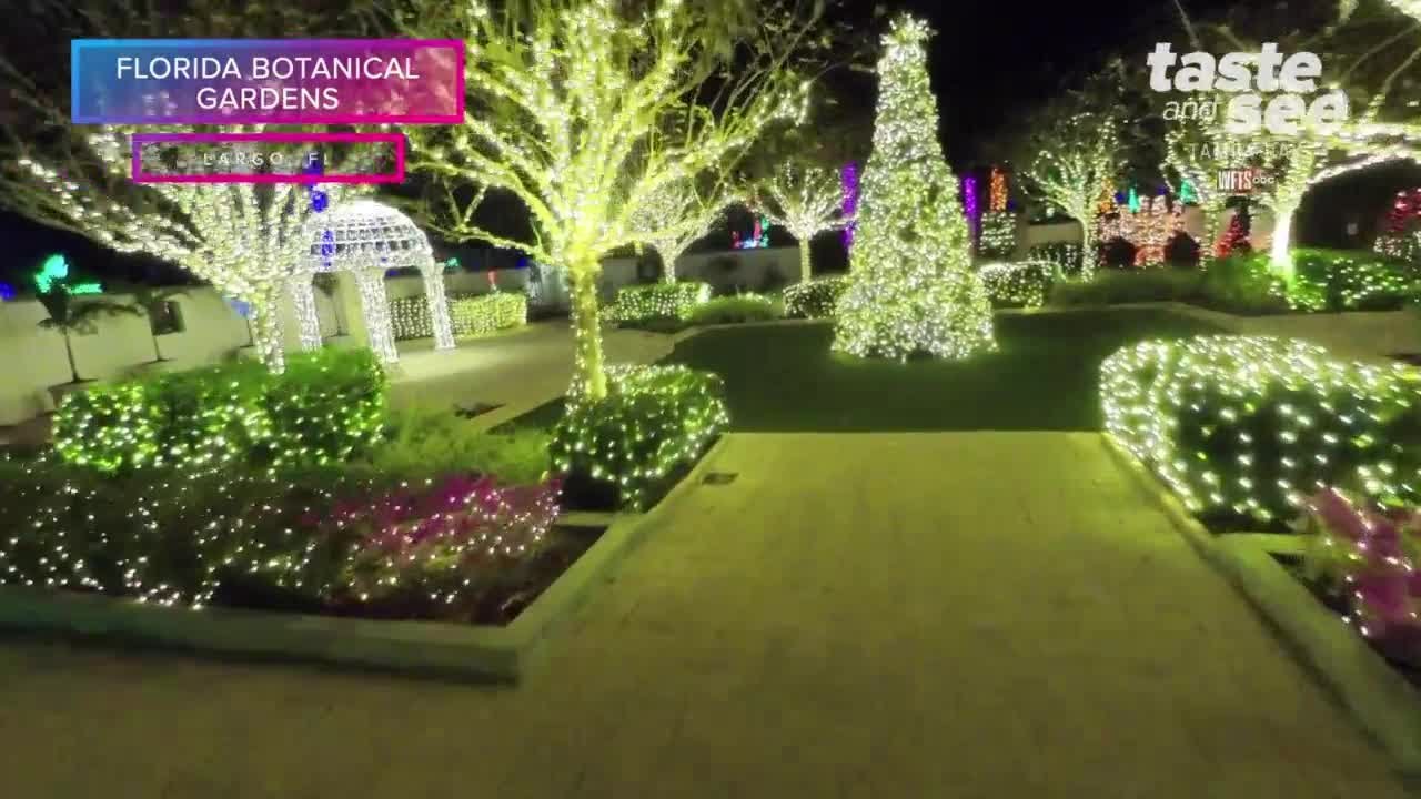 Holiday Lights at The Florida Botanical Gardens | Taste and See Tampa Bay
