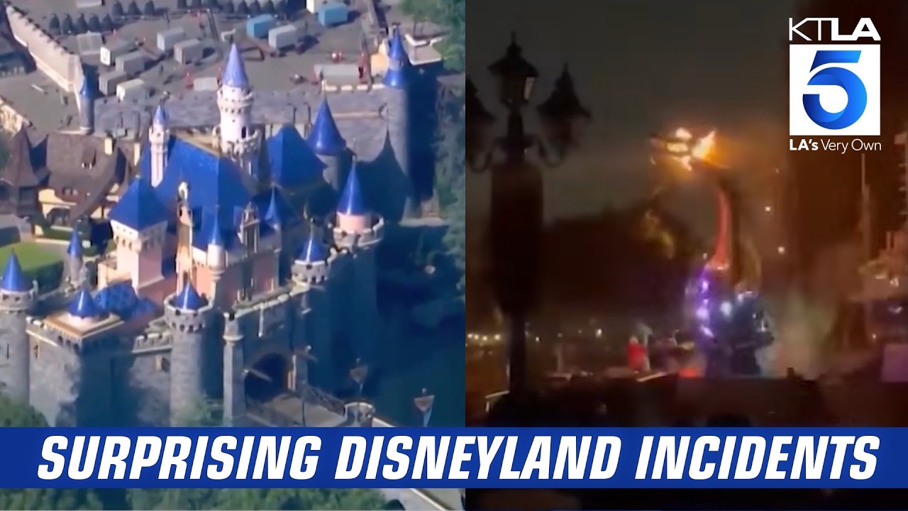 Unexpected moments at Disneyland: Viral fights, fires & more surprising incidents