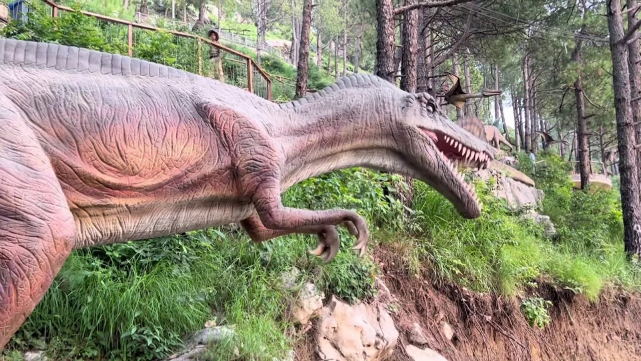 Dino valley    Last day in isloo💔 