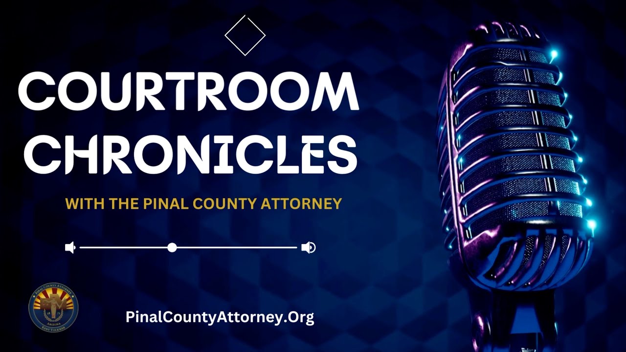 Episode 2: The Purpose of the Plea; Why Many Criminal Cases Result in a Plea Agreement