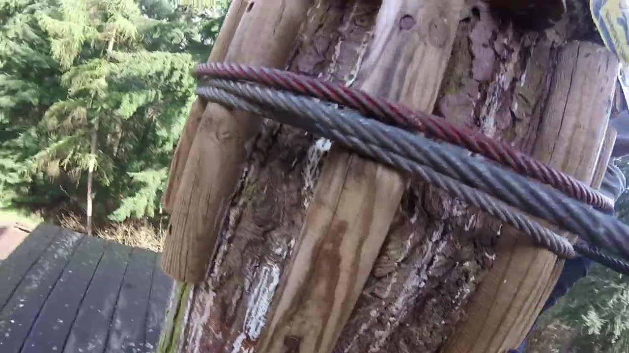 GoApe Wyre Forest Ziplines