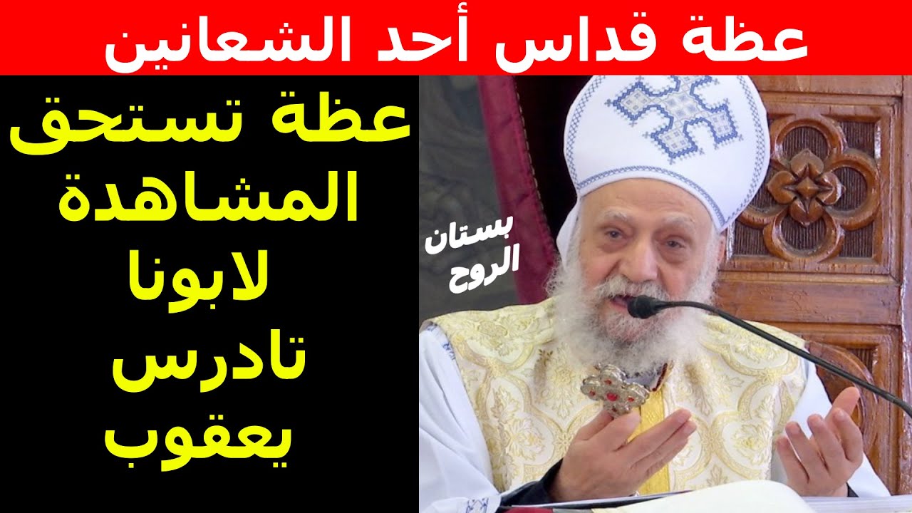 عظة قداس أحد الشعانين (عظة تستحق المشاهدة لابونا تادرس يعقوب )
