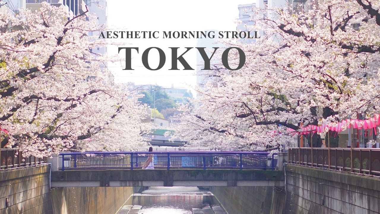【東京 桜】目黒川の桜並木さんぽとスタバ ロースタリー東京