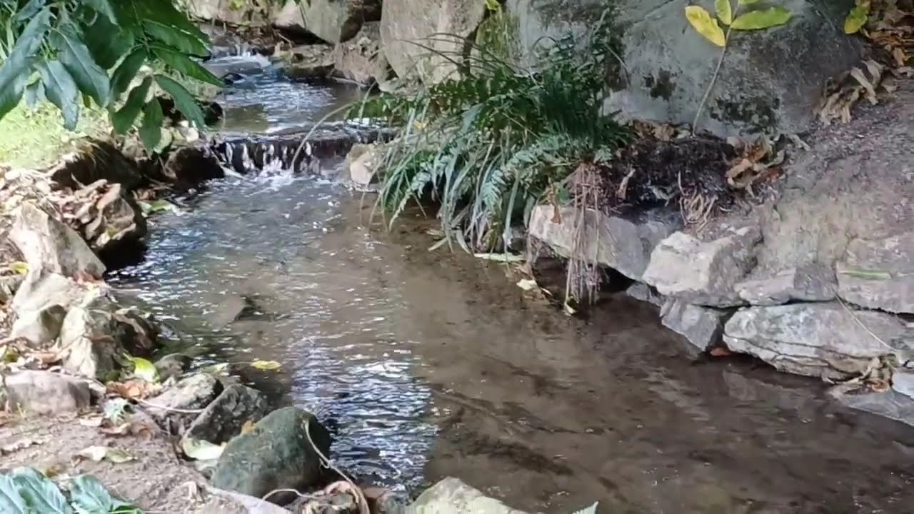 Mondo Verde garden visit