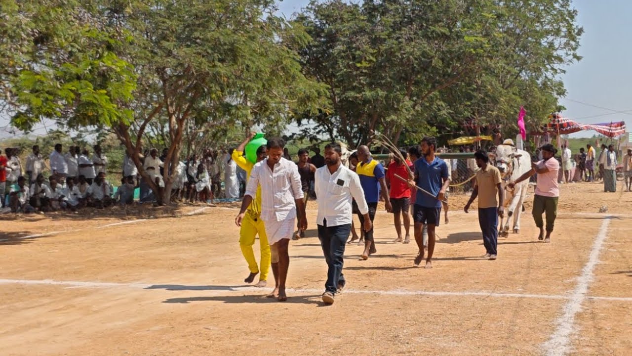 కల్లూరు న్యూ కాటగిరి విభాగం 2 వ జత