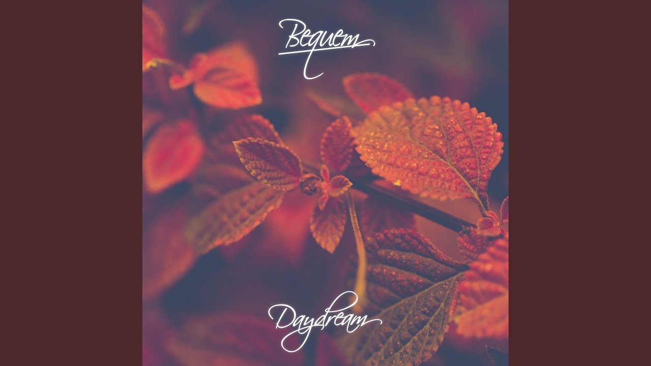 Daydream
